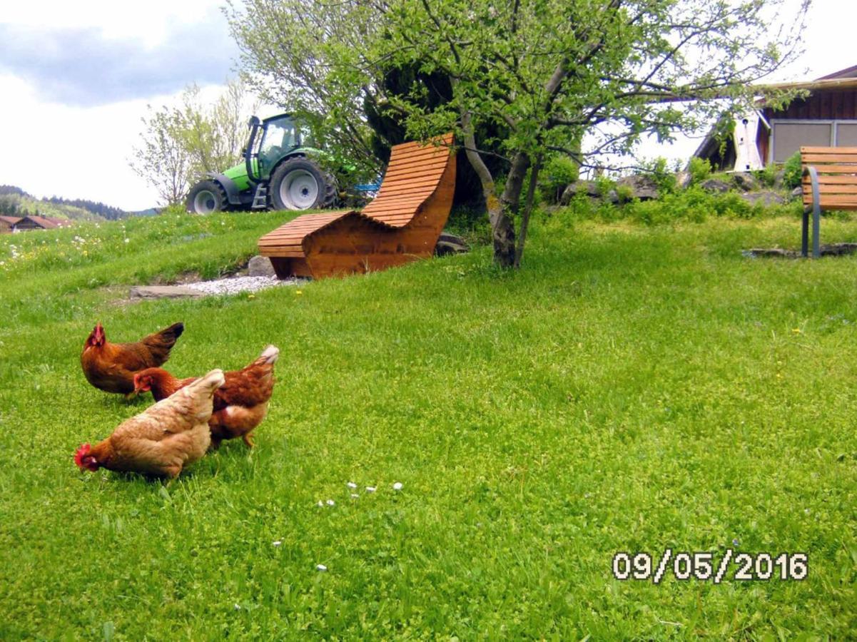 Ferienbauernhof Koepf Apartment Fussen Bagian luar foto